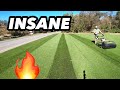 Lawn Striping that will MELT your EYES! Triple Double Single