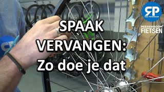 Vrouw belasting Vakman SPAAK VERVANGEN: Zo doe je dat - YouTube