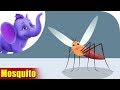 Mosquito | A Bug Song | 4K | Appu Series