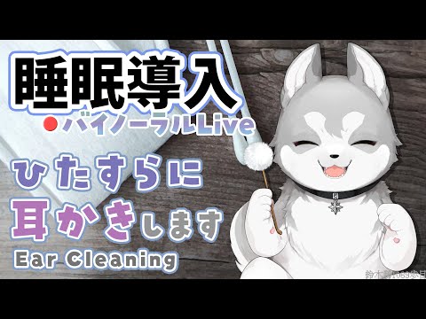 🛑【Binaural/ダミーヘッドマイク】本気で眠りたい人のためのじっくり奥まで耳かき 2025.8.20【にじさんじ/鈴木勝】