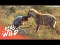 Animal Odd Couples: Animals And Their Humans [Full Documentary] | Wild Things