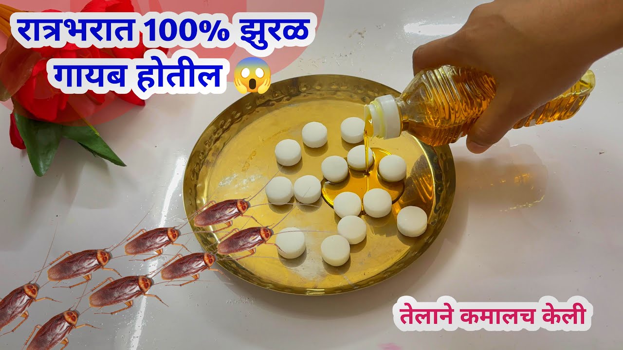 पुढचे 10 वर्ष एकही झुरळ येणार नाही😱 | Zural Ghalvnyche Upay | Cockroach Satti Upay