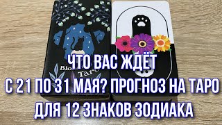 Что вас ждёт с 21 по 31 Мая? Прогноз на таро для 12 Знаков Зодиака