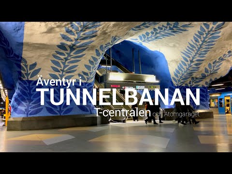 Video: Spöktåget I Moskva Tunnelbanan - Alternativ Vy