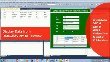 DataGridview Cell_Click Event | How to Get Selected Row Values From DataGridView to TextBox In VB