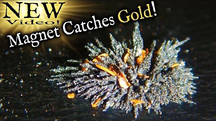 How much gold did we get with this .. MAGNET!?