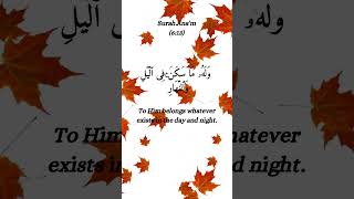 Surah.Al-An'am(verse 13)/English Translation#islamic #islam #islamicstatus #islamicshorts