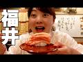 【福井旅】衝撃グルメの連続!人気店〜郷土料理まで欲望のままに食べまくる!【FUKUI / JAPAN】