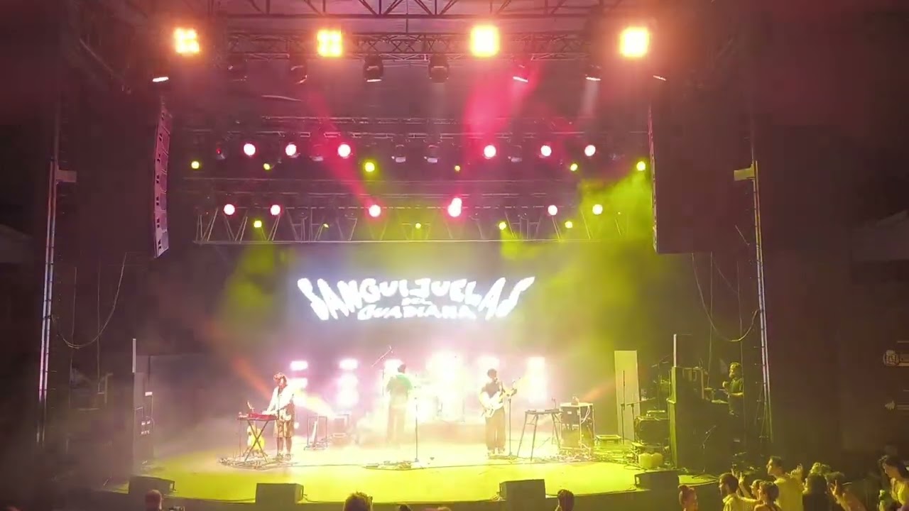 🎶✨ Comenzamos la noche con los Sanguijuelas del Guadiana llenando de energía La Mar de Músicas.