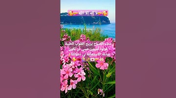 #الله ##قرآن #دعاء #أذكار #اكسبلور #لايك #تيك_توك #ترند #trending #funny#freefire #fyp#foryou#tiktok