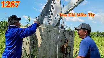 Vua Khỉ Miền Tây cưa hạ gốc nhiều cây với trụ điện cao thế ? Cutting tree