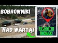 #5 Bobrowniki - altana nad Wartą - darmowe miejsce biwakowe ze świetną infrastrukturą turystyczną