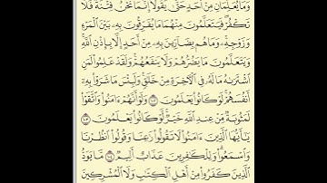 الورد اليومي قراءة القرآن الكريم الصفحة 16 سورة البقرة