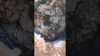 НАШЕЛ ЗОЛОТЫЕ МОНЕТЫ В НЫЧКЕ! #коп #находки #клад