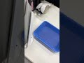 三十路ポケモン廃人が『色違いザシアン』受け取りに行った結果・・・ #Shorts