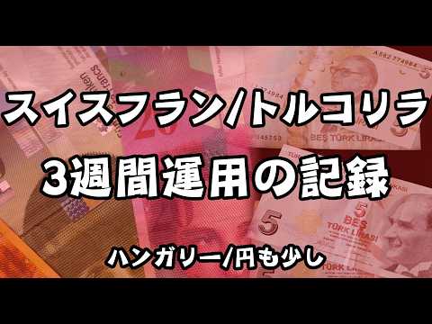 高金利通貨の3週間運用記録●スイスフラン/トルコ おまけでハンガリーフォリント/円の長期投資報告●先割れフォーク-投資部チャンネル