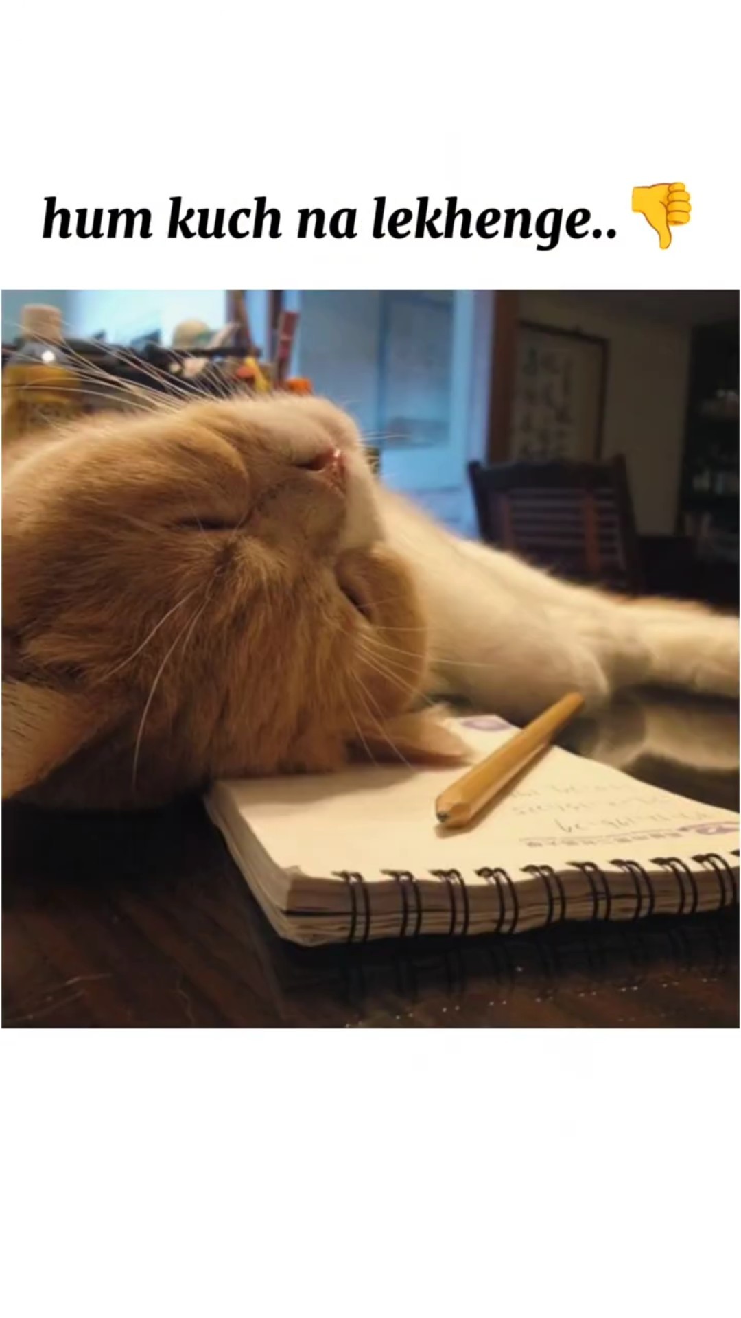 😜مزیدار جوکس🤣 - ShareChat