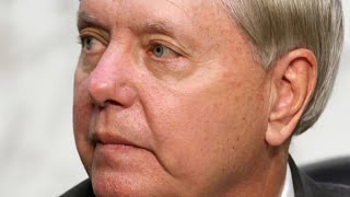 The Truth About Trump's Relationship With Lindsey Graham Wealth