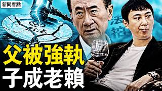 王健林剛被強執，兒子王思聰也成老賴！股權法拍倒欠 166 萬；38 億豪門，連私生女都沒人認【新聞看點 李沐陽6.2】#新聞看點 #李沐陽
