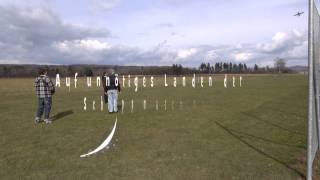 Erstflug Mini Vector ( Ronny)