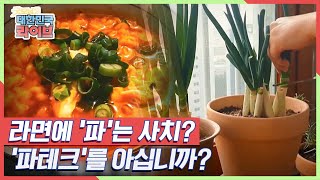 라면에 '파'는 사치 '파테크'를 아십니까 KBS 210317 방송