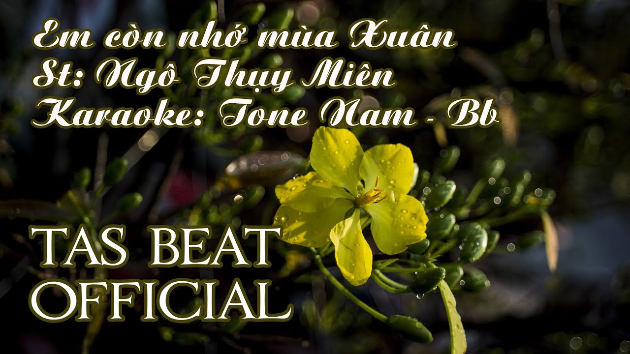 Karaoke Em còn nhớ mùa Xuân - Tone Nam | TAS BEAT