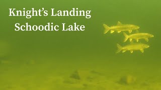 Underwater Drone Footage Knight’s Landing on Schoodic Lake
