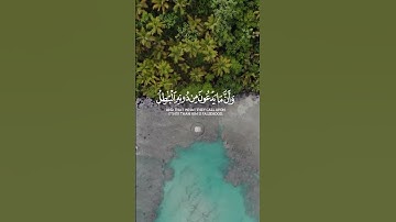 قران كريم -اية 62 -سورة الحج          listen to quran