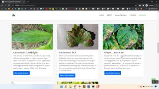 A Review of Leaf Diseases Detection and Classification by Deep Learning