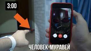 ПОЗВОНИЛ ЧЕЛОВЕКУ-МУРАВЬЮ ИЗ ФИЛЬМА "ЧЕЛОВЕК-МУРАВЕЙ И ОСА" В 3:00 НОЧИ! ОН БЫЛ У МЕНЯ ДОМА! ШОК!