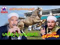 خاصمني يا زماني ذئاب الجبل عبده النزاوي مع الريس النزاوي