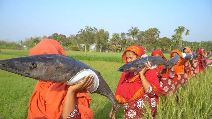 Delectable River Bard Fish for Delicious Seafood meals 