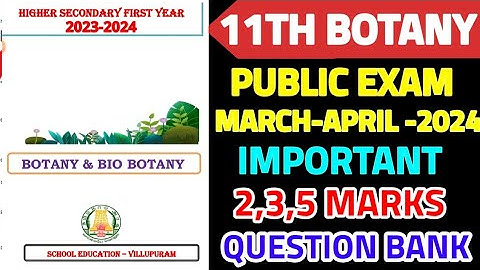 11TH STD BIO-BOTANY II BOTANY PUBLIC EXAM MARCH APRIL-2024 IMPORTANT 2,3,5 MARKS QUESTION BANK