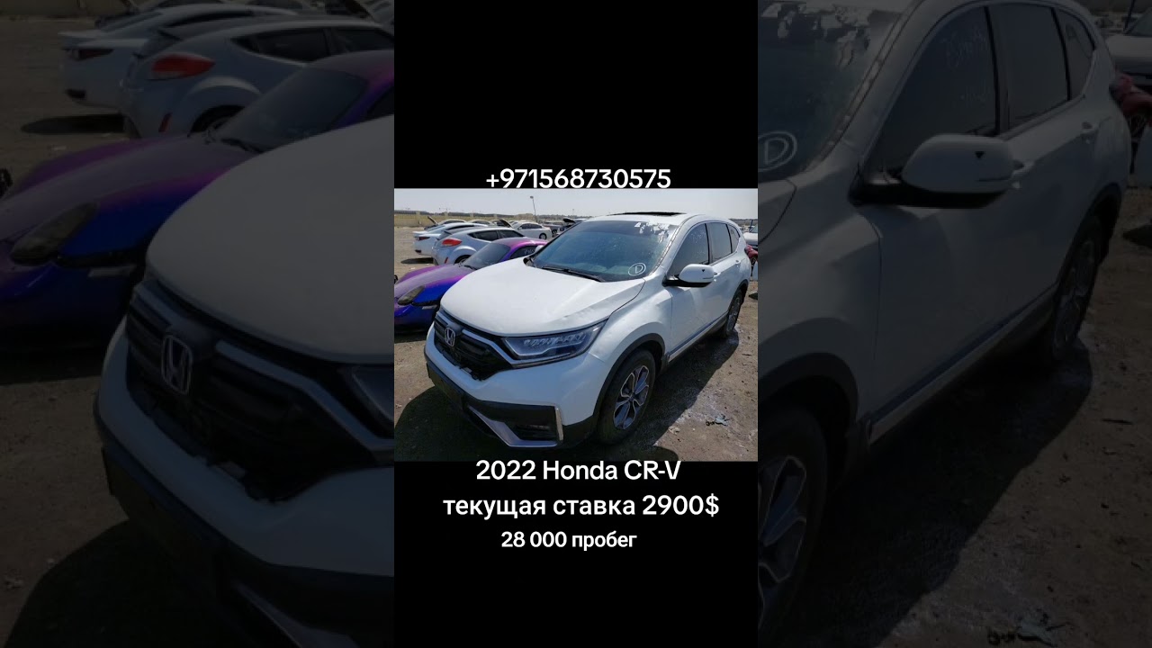 2022 Honda CR-V,2.4,4WD,28000км,ОАЭ, аукцион до 23.12.24, текущая ставка 2900$ 