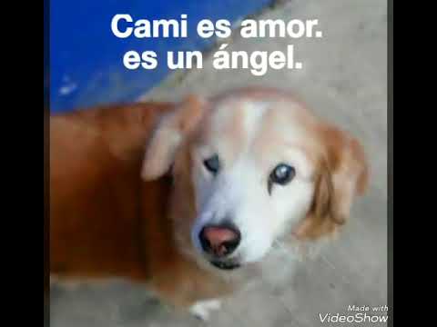 Camila sus últimos momentos