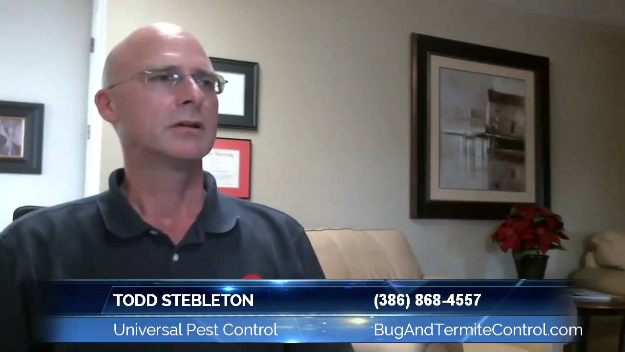 How to Kill Bugs On a Boat | Universal Pest Control (386) 868-4557