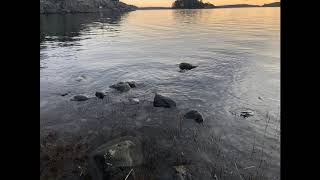 Sverige - Cover av Kent