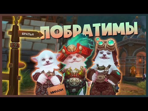ПОБРАТИМЫ | АЛЛОДЫ