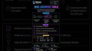 MAC Address Table - #shorts #cisco #ccna #education #networking #ccnp