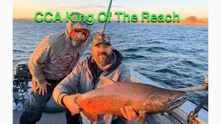 Salmon fishing Columbia River CCA king of the reach derby day 1 2019