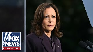 Dems' blame game on Kamala Harris' loss in full swing: 'Ivory-tower nonsense'