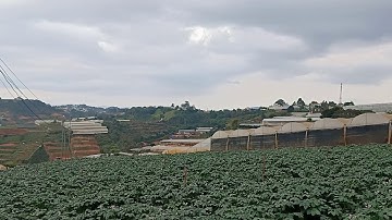 Cần bán đất mặt tiền đường hẻm thôn Lộc Quý, xã Xuân Thọ, Tp. Đà Lạt, tỉnh Lâm Đồng. Đất có View rất