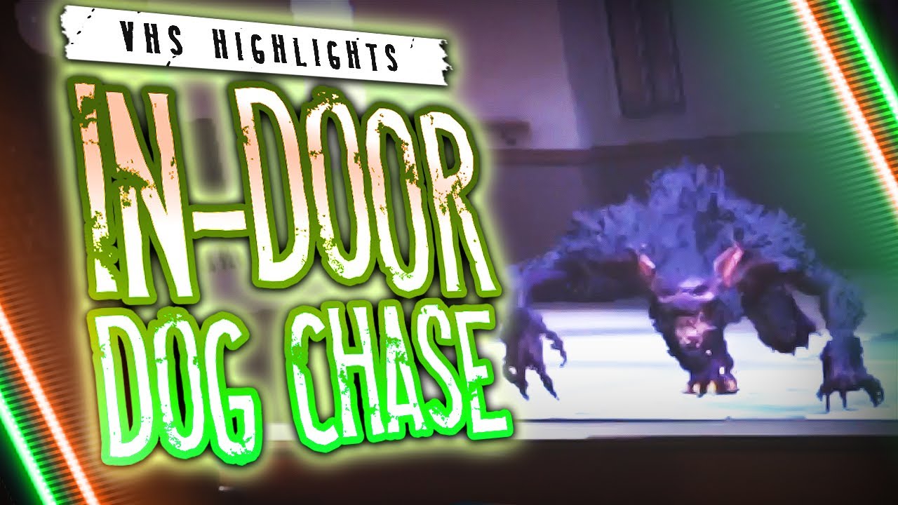 No, Werewolf, I Chase YOU | Video Horror Society