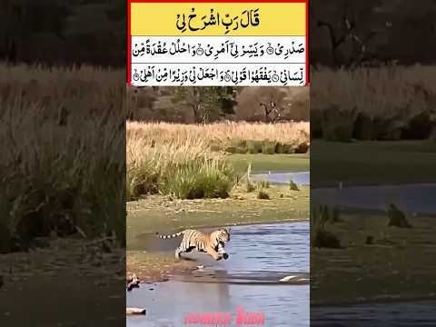 Dua Of Musa AS 💫 موسیٰ علیہ السلام کی دعاء #quran​#egzonibrahimi#viral​#ytshorts​#shorts​#yt​#islam​