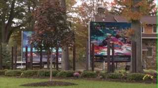Embracing Our Differences Art Exhibition Long Island at Heckscher Park 2012