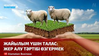 Жайылым үшін талас жер алу тәртібі өзгермек | Шыны керек | 10.04.2026