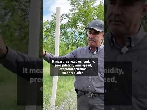 High-tech farming to fight drought in Mexico