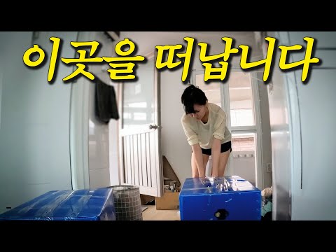 집을 빼기로 결정했습니다...!