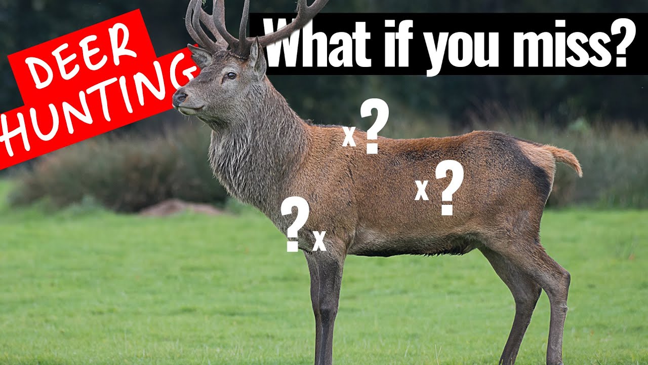What happens when you miss - 3 common deer shot placement mistakes