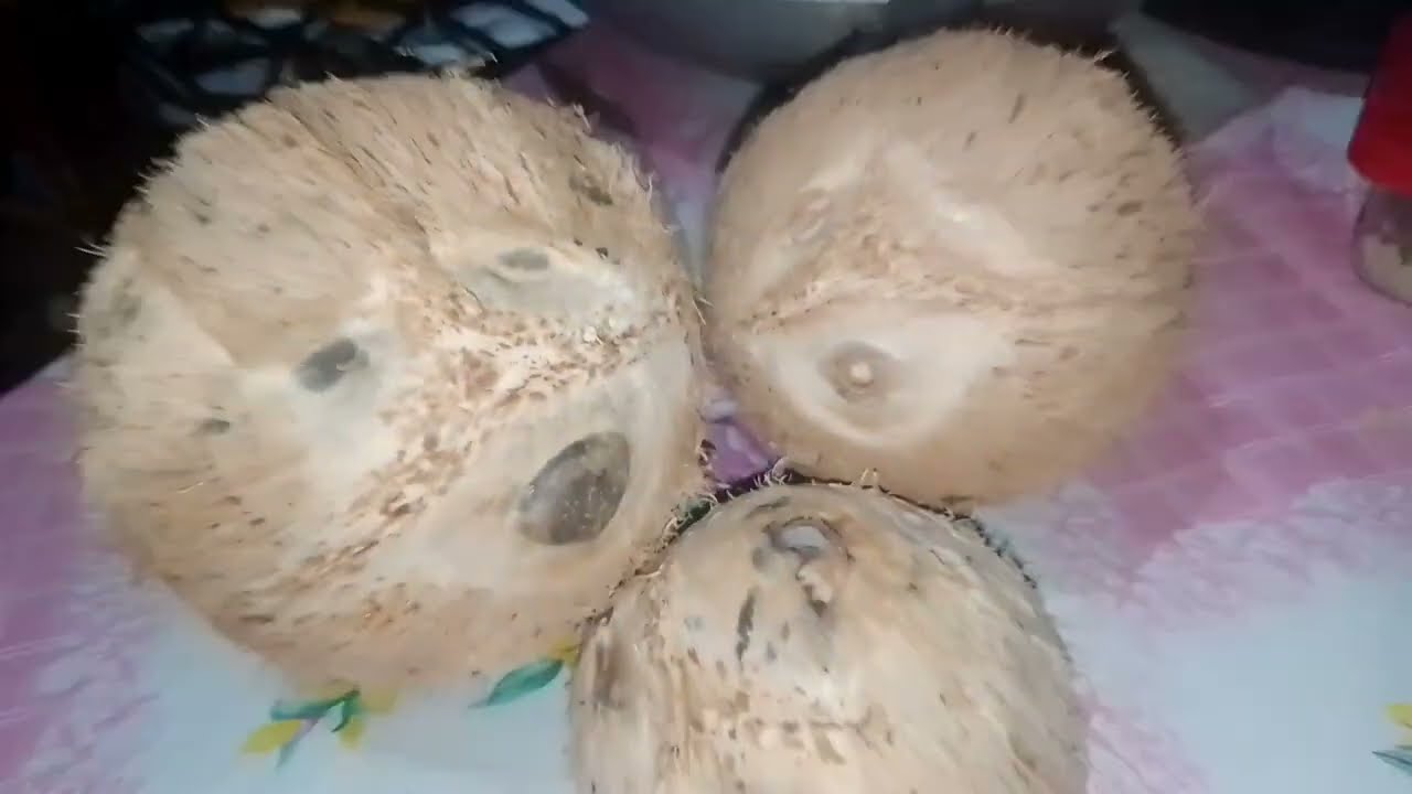 MUTYA NG NIYOG KAKAIBA ANG MATA.